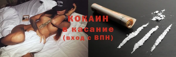 амф Новодвинск