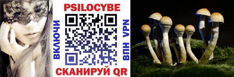 Псилоцибиновые грибы GOLDEN TEACHER  Новоуральск 